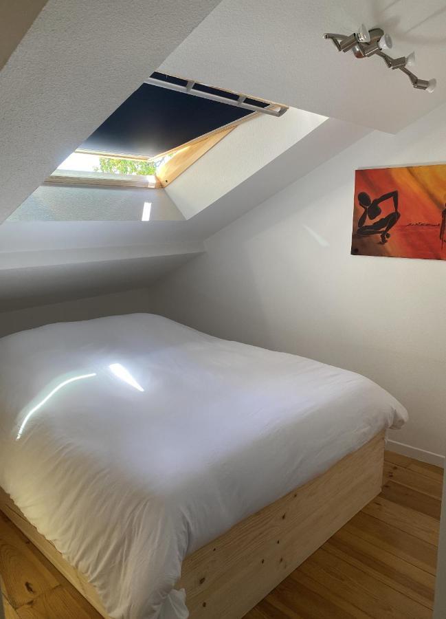 T3 Duplex6 Hyper-Centre Climatise Apartman Albi Kültér fotó